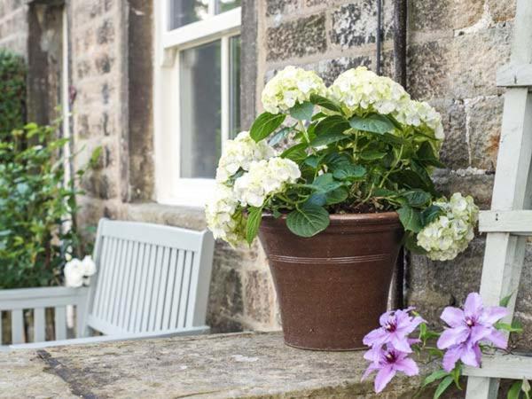 Beacon Cottage Ilkley Bagian luar foto